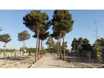 • باغ-مهرشهر 5000 متر باغ ویلا ششدانگ باوجوز ساخت