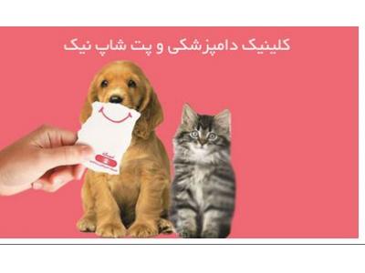 خرید و فروش حیوانات خانگی-کلینیک دامپزشکی و پت شاپ نیک در تهران 