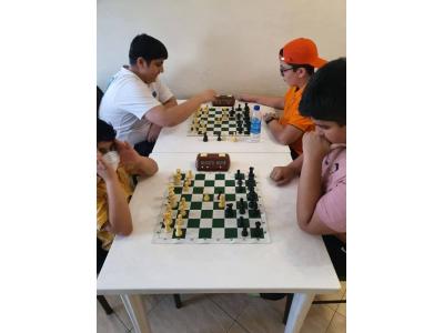 کلاس آنلاین-آموزش شطرنج از کودکان تا بزرگسالان