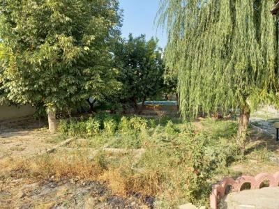 باغ سنددار کاسبی در شریف آباد پاکدشت-فروش 25000 متر چهاردیواری در شریف آباد پاکدشت