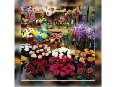 فروش گل و گیاه ارزان-پیش فروش غرفه های 18 متری بازار گل و گیاه (عباس آباد)