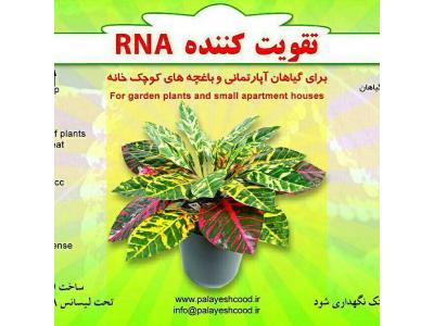 RNA-تقویت کننده، تقویت گل، تقویت کاکتوس و کود آهن بیولوژیک 