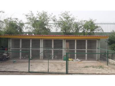 انواع نرده-فروش باغ ویلا ۱۵۰۰ متری در ملارد ویلای جنوبی(کد142)