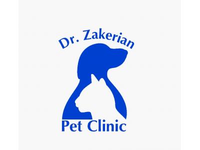 گربه-خدمات تخصصی دندان پزشکی  حیوانات خانگی