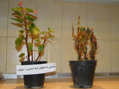 گلخانه ساز-ضدیخ و ضد استرس گیاهان