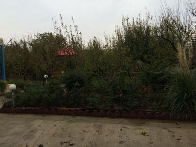 خریدوفروش یاغ ویلا در فردوسیه شهریار-فروش باغ ویلا 1500 متری در فردوسیه(کد208)