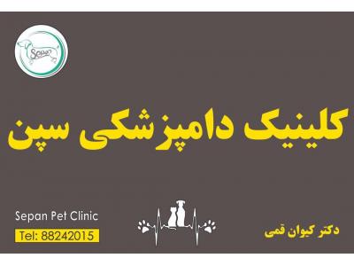 فروشگاه لوازم حیوانات خانگی-کلینیک دامپزشکی در گیشا
