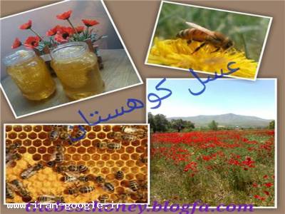 روزه-تولید،عرضه و فروش عسل طبیعی و ارگانیک با بالاترین کیفیت تضمینی 