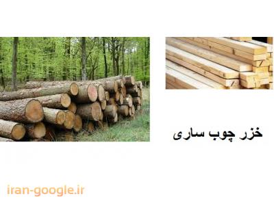 تهیه و تولید انواع چوب آلات جنگلی-تولید و فروش فرآورده های چوبی 