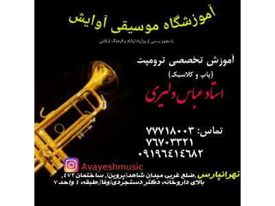 آموزش سازهای بادی-آموشگاه موسیقی آوایش در تهرانپارس