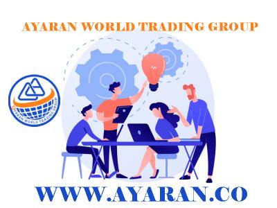 electronic marketing-Ayyaran international digital marketing company 