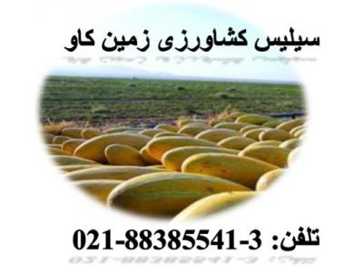 فروش کود در تهران-سیلیس-خربزه