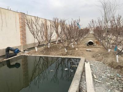 باغ ویلا نوساز در شهریار-1250 متر باغ ویلایی مشجر در شهریار
