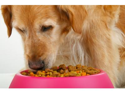 سیستم راک-غذای خشک سگ
