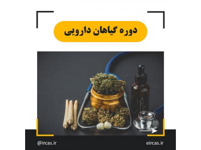 آشنایی با فرآوری گیاهان دارویی-دوره آموزشی گیاهان دارویی در تبریز