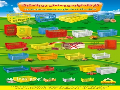 فدائیان اسلام-تولید سبد ,گروه صنعتی ری پلاستیک