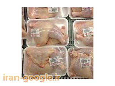 فروش شتر مرغ-تامین مواد غذایی پروتوئینی (‌مرغ ، گوشت ، ماهی ،‌میگو ) در هر تناژ‌درشرکت گلفام کالای آریان