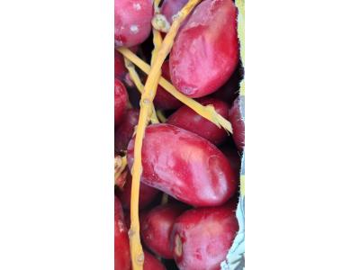 بسته بندی میوه خشک-خرمای  هلیا  مرکز تهیه و توزیع خرما  و رطب مضافتی بم  و  باقلوا استانبولی 