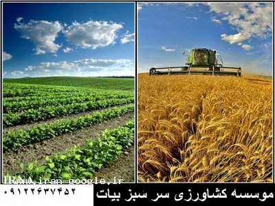 تهیه و توزیع-موسسه کشاورزی سر سبز بیات