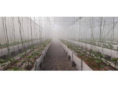 خرید تخصصی از چین-فروش انواع مه پاش صنعتی