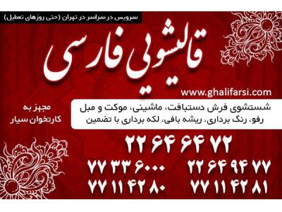 فارسی بر-سفارش آنلاین قالیشویی