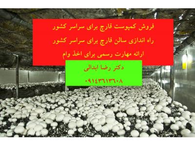 گلستان-راه اندازی آنلاین سالن پرورش قارچ و کسب درآمد