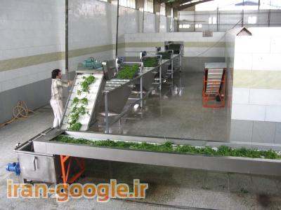 سبزی خشک-دستگاه شستشوی میوه سبزی و سالاد