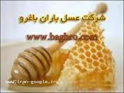 خرید عسل-خرید و فروش عسل طبیعی 