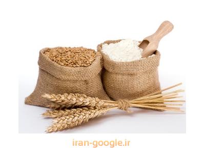تولید ایرانی-شرکت بازرگانی اریس Eris تهیه و توزیع خوراک دام و طیور و آبزیان