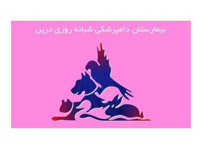 پانسیون شرق تهران-کلینیک دامپزشکی در رسالت و  بیمارستان دامپزشکی در رسالت 