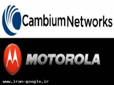 1000-فروش Motorola , Cambium Networks