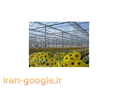 پرورش-پوشش گلخانه ای تا عرض 12متر-بازرگانی ایرانیان پلیمر