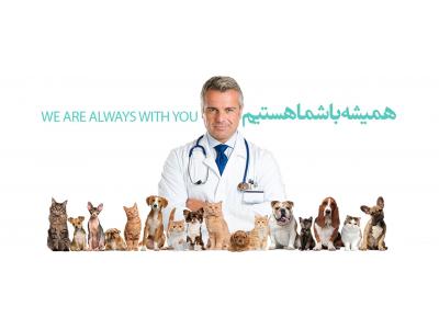 حیوانات خانگی-کلینیک دامپزشکی در رسالت و  بیمارستان دامپزشکی در رسالت 