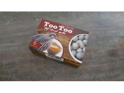 انواع بسته بندی-مرکز پخش تخم ماکیان ( توتو )