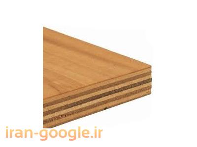 قالب بتن-واردکننده پلی وود چندلایی چوب تخته سه لایی