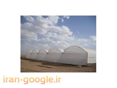پوشش گلخانه-پوشش گلخانه ای تا عرض 12متر-بازرگانی ایرانیان پلیمر
