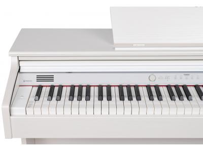 تخفیف فروش-فروش استثنایی پیانوهای دیجیتال دایناتون (اصل کره )