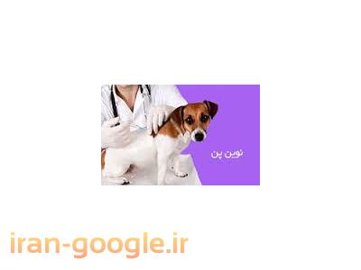 حیوانات خانگی-کلینیک دامپزشکی آجودانیه ، دامپزشک آجودانیه 
