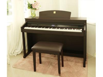 درایو-فروش استثنایی پیانوهای دیجیتال (اصل کره ) DPR3500