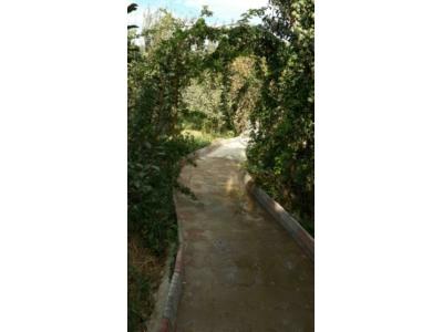 باغچه-500 متر باغ ویلا در شهریار
