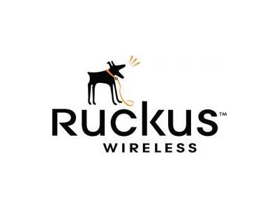 چراغ های پار-فروش تجهیزات حرفه ای    Ruckus Wireless 