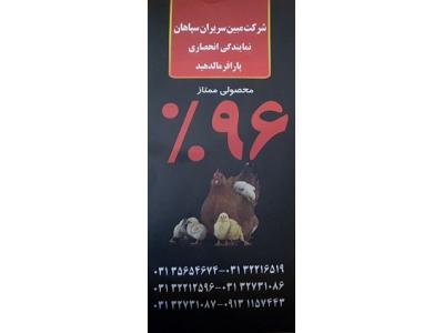 مرغداری اصفهان-فرمالین خشک (پارافرمالدئید)