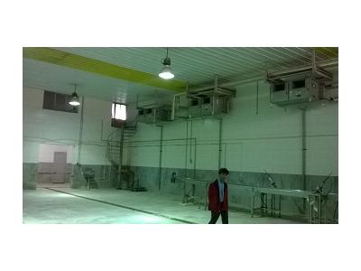 سرمایه گذاری در انواع پروژه ها-فروش کشتارگاه صنعتی طیور در استان تهران